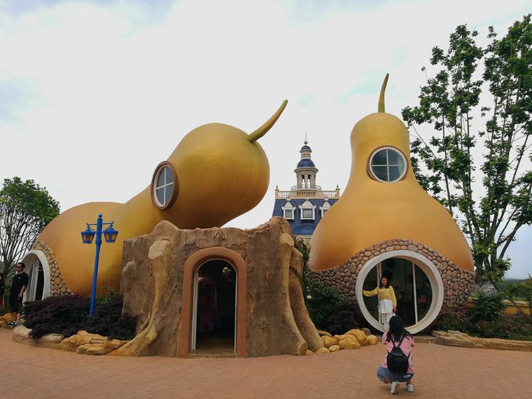 「云南」云南寻甸的大山里有一个美丽的童话世界