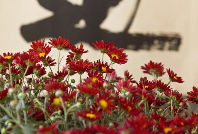 运势|穷不过今年!这3生肖年底好运绽放,福满财多,不可同日而语!