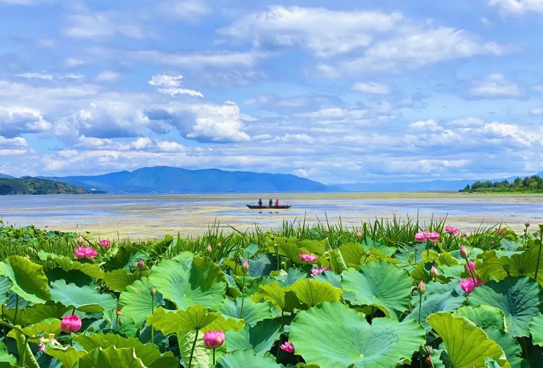 洱海|1年前，拆了1806家客栈的洱海，现在怎么样了？