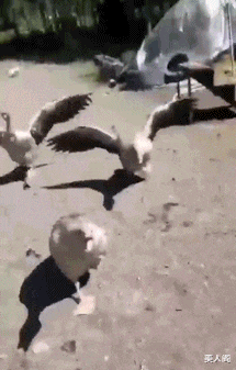 美人阁 哥们忍着吧，谁让你没车呢？哈哈