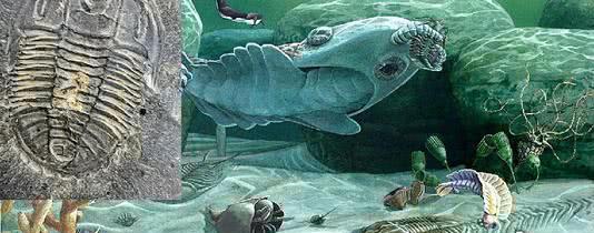 [科学家]人类历史上为何出现了13万年的断层？发生了什么？科学家：这种可能性最高