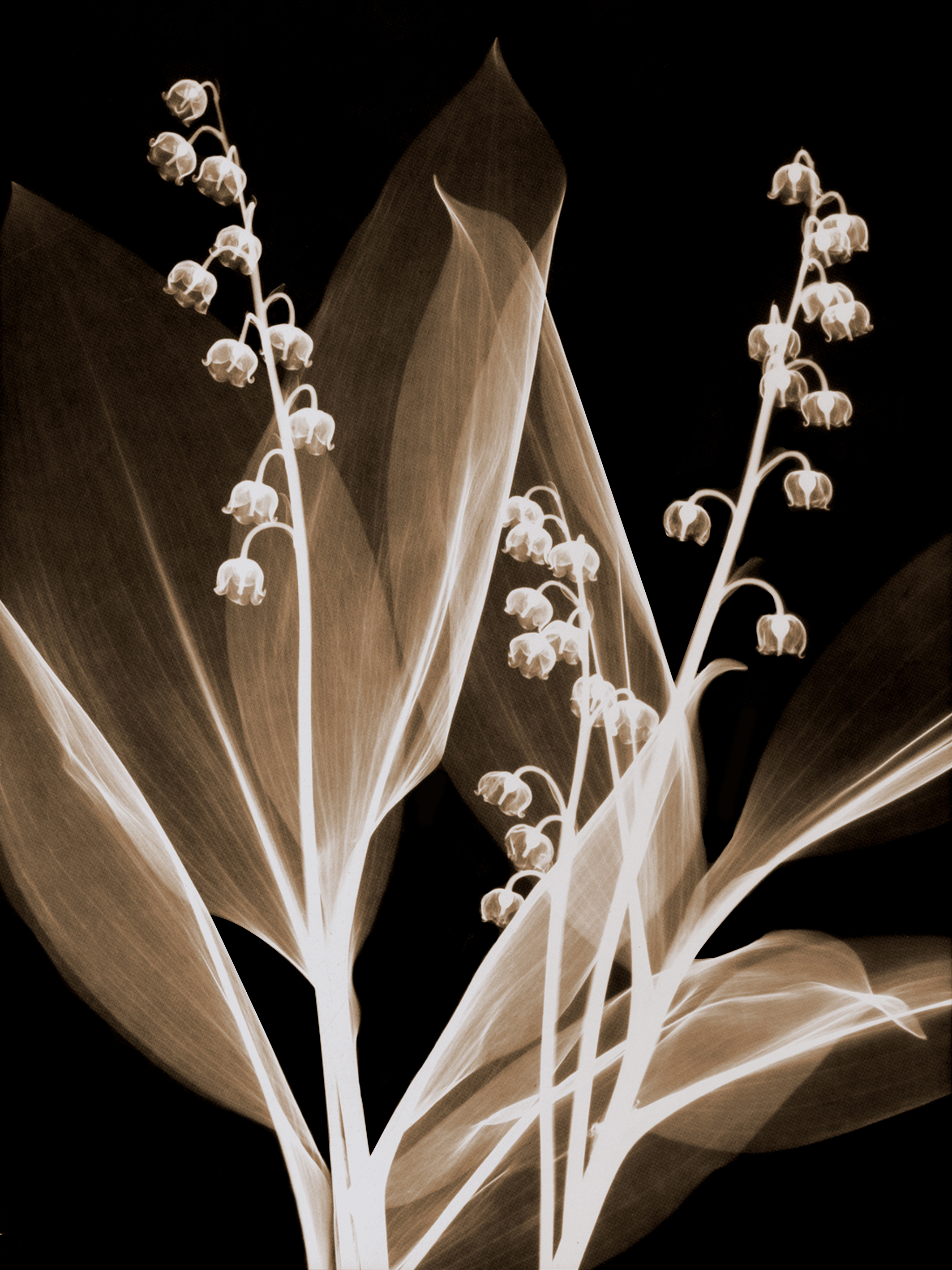 人与人|人类的核心，就是生存与繁殖。