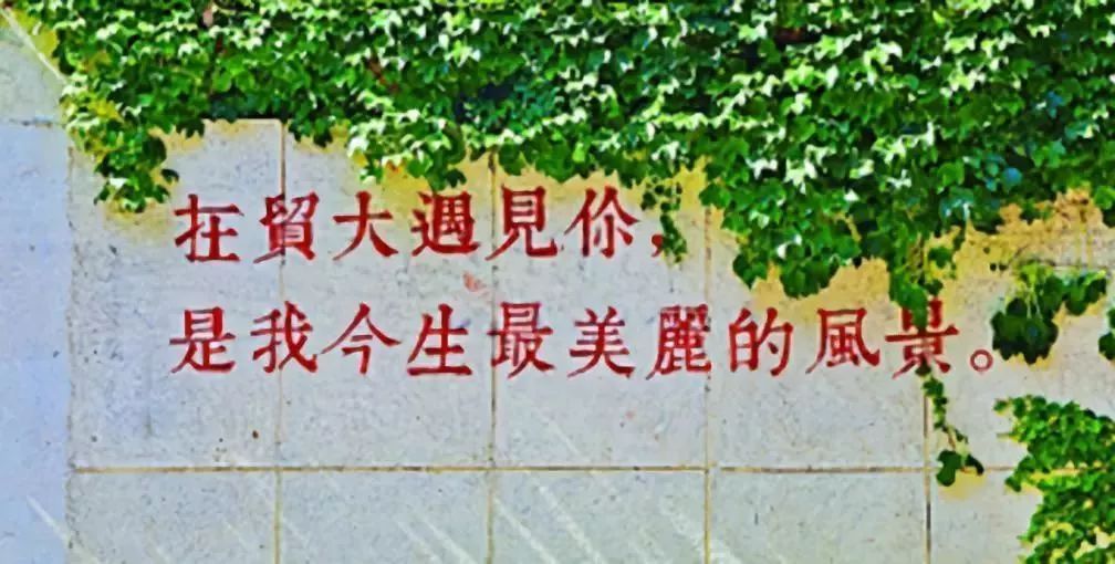 大学|提前批大学录取分数线出炉，多所知名大学分数爆冷，考生捡漏成功