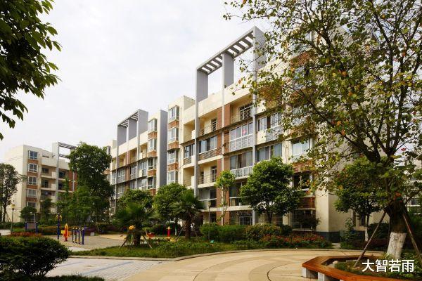 |储蓄大国变负债大国？中国家庭负债突破50万，钱都去哪里了？