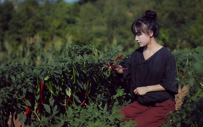 李子柒|李子柒式童话还在继续，海霞：丁真背后的美值得更多流量
