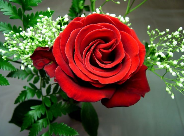 【老虎】婚后“母老虎”的三个生肖女，脾气大却会照顾人，生活幸福又富裕