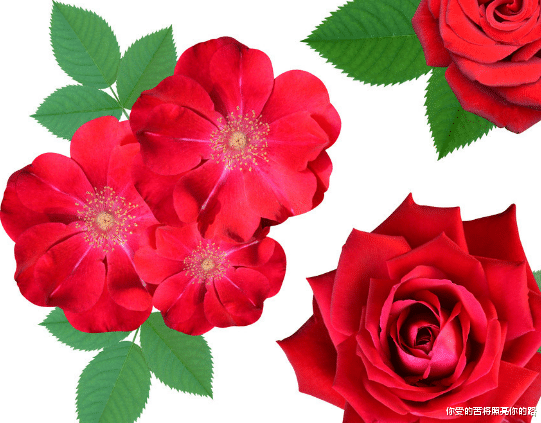 「」6月中旬，4属相好运连连，财来顺手，转运在眼前，好事源源不断