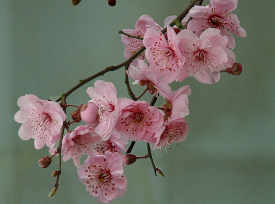 生肖|到了10月，4属相吉星照耀，福旺，财旺，桃花旺，运势旺上加旺