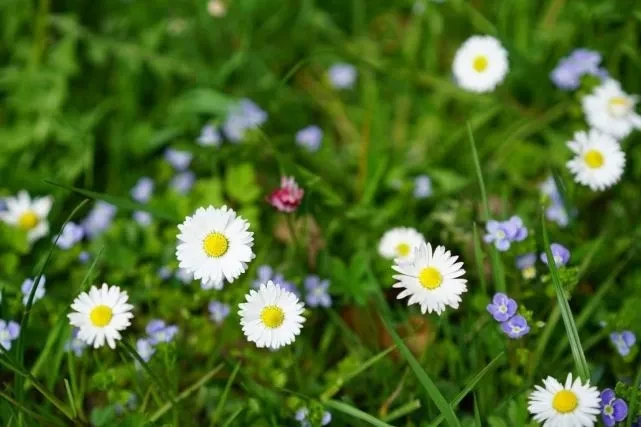 甜言蜜语|看似好哄骗，实则很难被降服的星座女，没点本事，压根拿不下她们