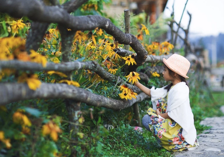 黄柏塬|太白黄柏塬赏秋，摄影，一步一景，感受慢城之美