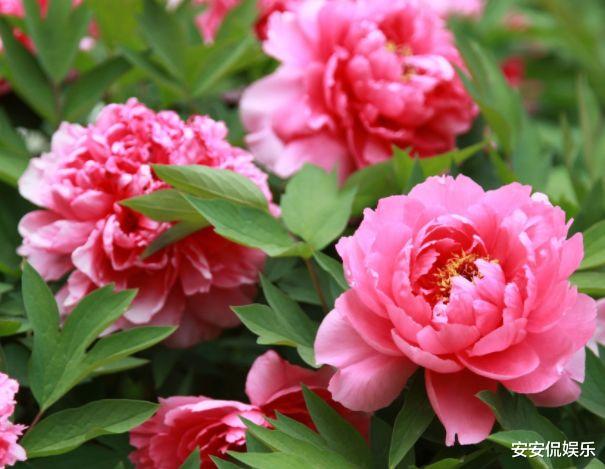 『处女座』2020年，有缘相爱，无缘到老，3星座注定擦肩而过，此生孤独