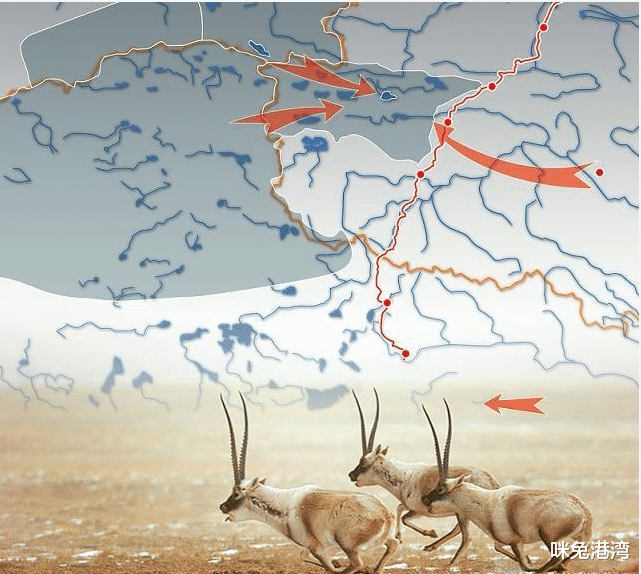 吉尼斯世界纪录|交配时长吉尼斯纪录保持者，至少21天，原来是这种动物！