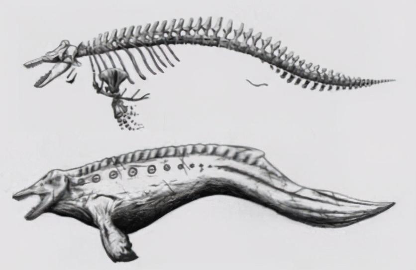 恐龙|很遗憾的告诉你,那些你印象中的古生物形象,其实基本上都是错误的