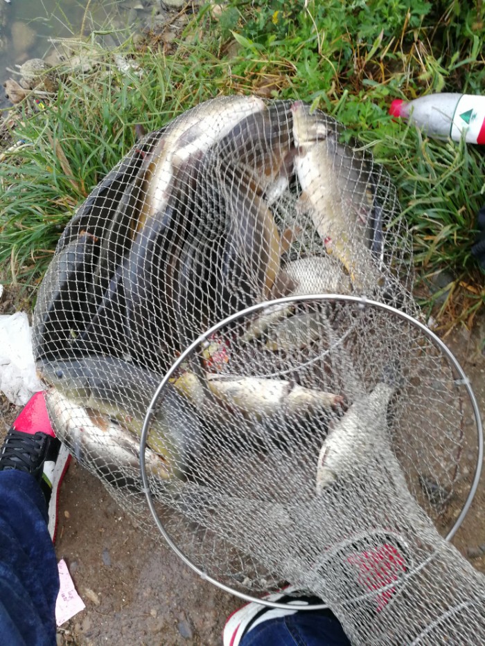 饵料|新车新鞋新头灯新配方，大鱼小鱼齐入护