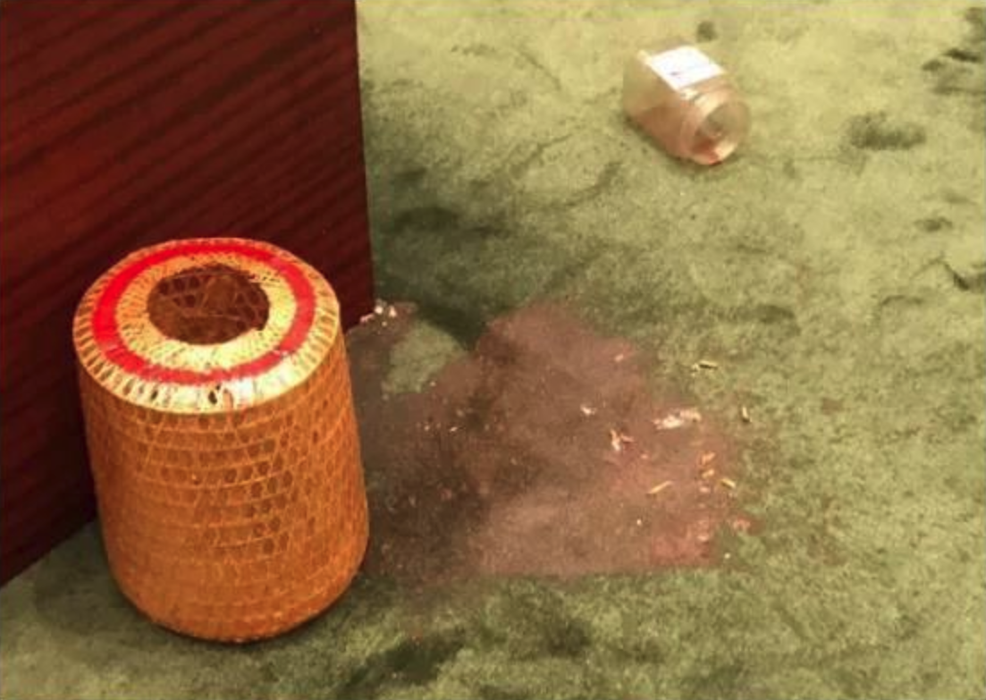 #反对派#不可理喻!反对派议员在香港立法会上乱丢臭虫,自付六位数清洁费!