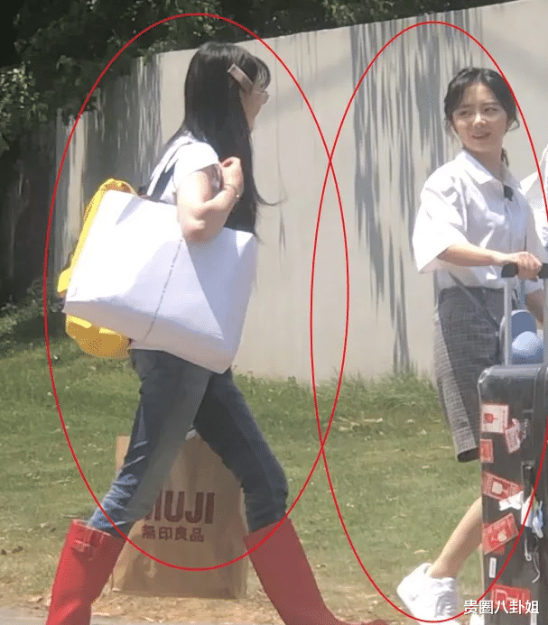 马伊琍■郑爽和谭松韵一起录节目，路透照中的身高差引发争议，太不诚实了