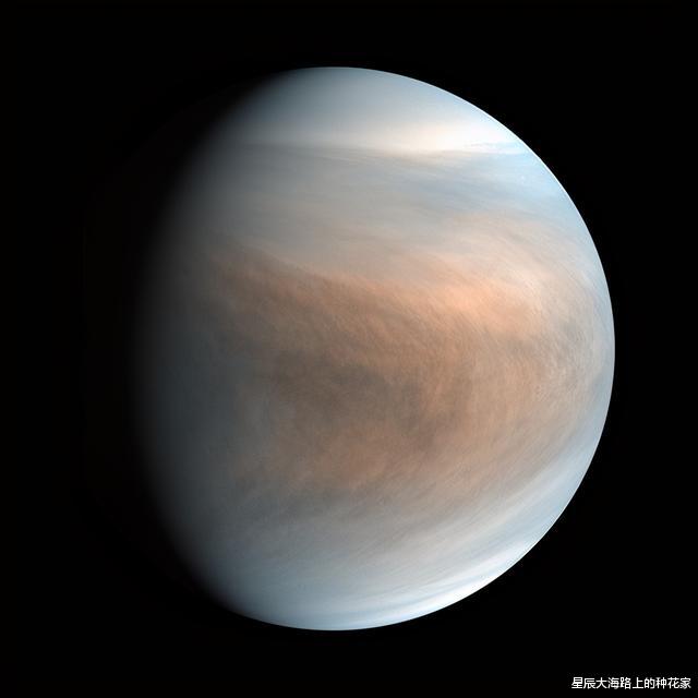 科学家|哈佛科学家：地球生命在很久以前，就已通过特殊通道到达了金星！