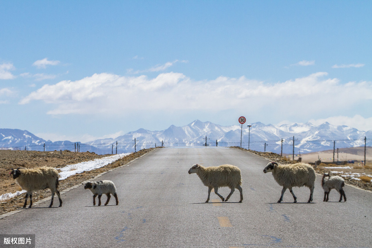 西藏▲自驾西藏需多少钱？川进青出归来，我详细罗列了《自驾支出清单》