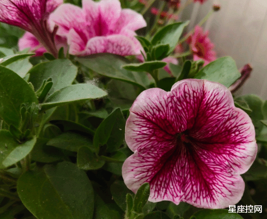 |哪些生辰出生的人，年轻时候有些冲动，中年后却特稳重，能办大事