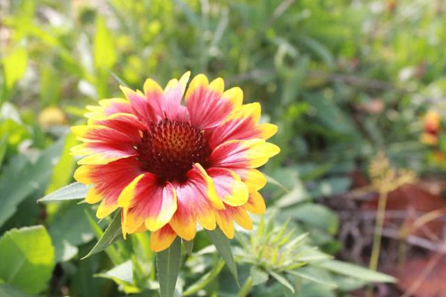 属蛇▲喜鹊来报喜！本周起，这3生肖运旺了不起，有贵人横财，人生赢家