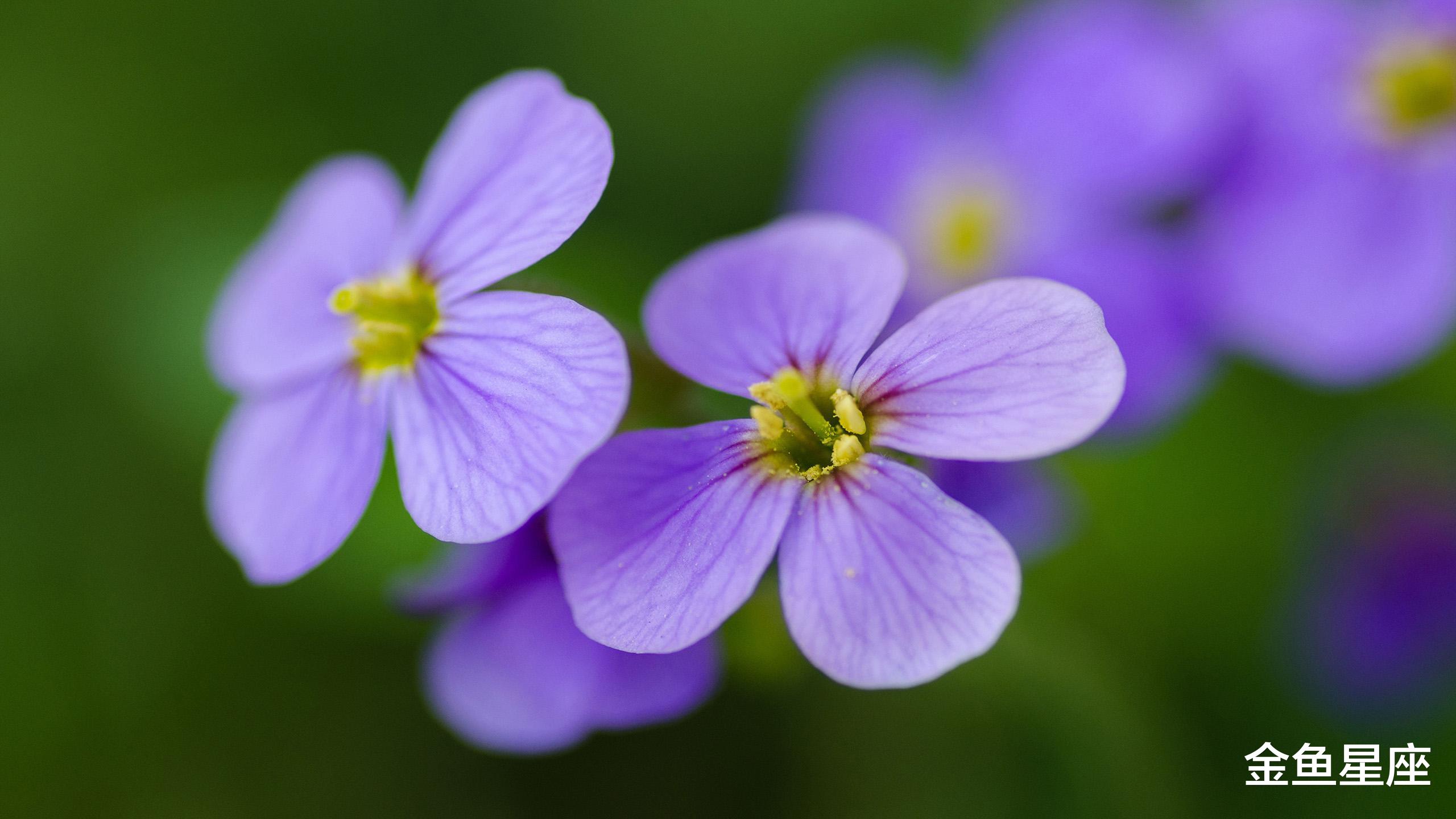 『生肖』七月下旬，转运成功的3生肖！横财滚滚来，月月有财进