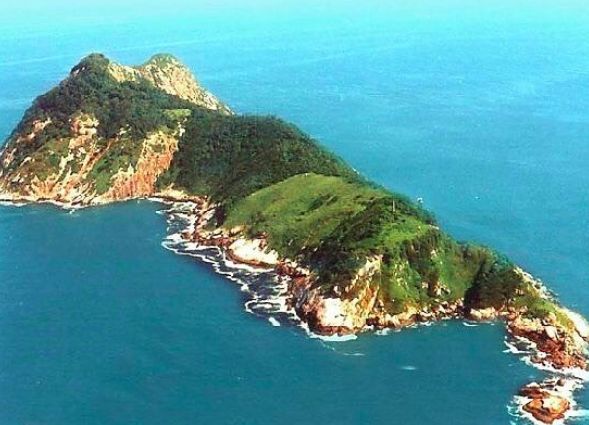 蝮蛇|鸟类的死亡禁区，人类也无法生存的剧毒王国。