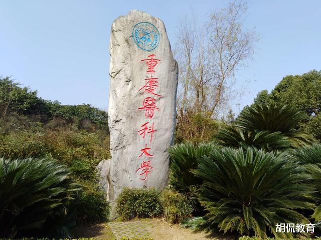 #三级甲等医院#中国最好的20所医学院,分为4个档次,考上前两档轻松进三甲医院