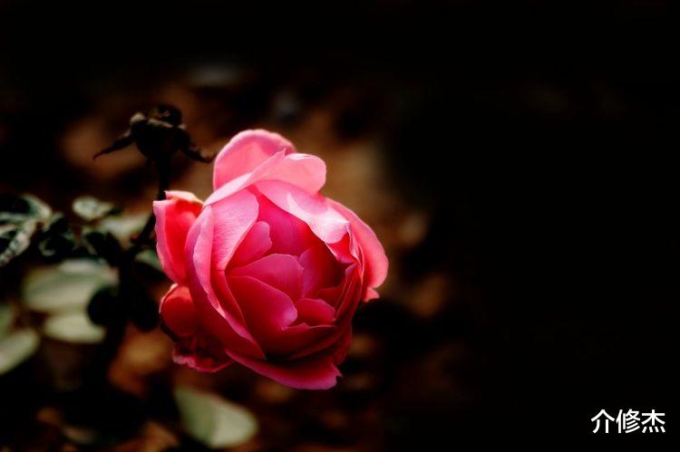 旧爱|下周起，旧情刻骨铭心，爱情出现转机，与前任再续前缘的4大星座