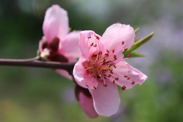 生肖|这3个星座对恋爱很严格，结束恋情后就会断联系，绝不回头