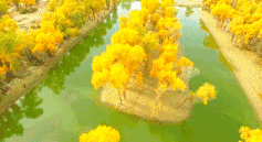 「新疆维吾尔自治区」从新疆出发，中国最长最美公路横空出世，一路顶级风光！