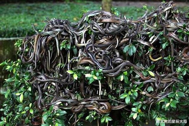 「」那些未被人类涉足的神奇地带，有着怎样的神秘色彩？