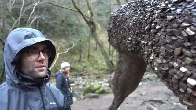 「」现实中的“摇钱树”,浑身长满了硬币,为何至今无人敢拿走