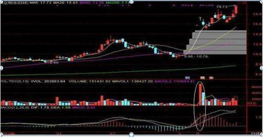 『股市』巴菲特点破中国股市：如果手中8万资金想快速赚到800万，建议死记“阳胜进，阴胜出；小倍阳，大胆入”