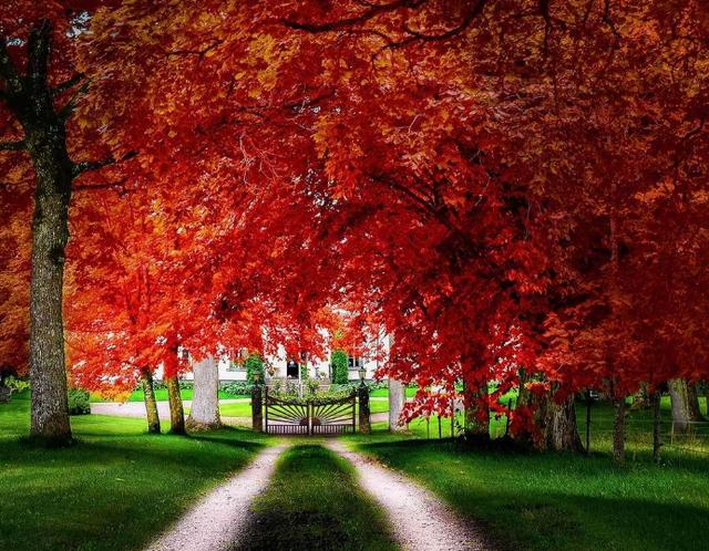 双子座|双子座:能让你收心的5个星座,将你握在手心,你心已属对方