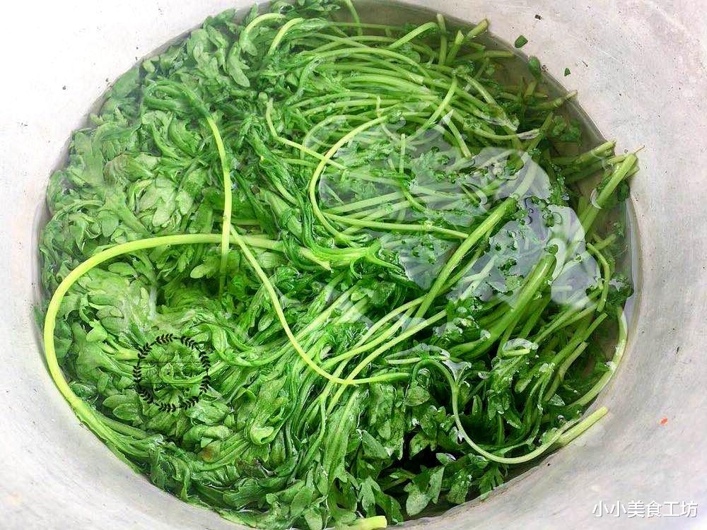 茼蒿|秋天，吃土豆萝卜不如吃它，维C含量极高，3元做1盘，家家吃得起