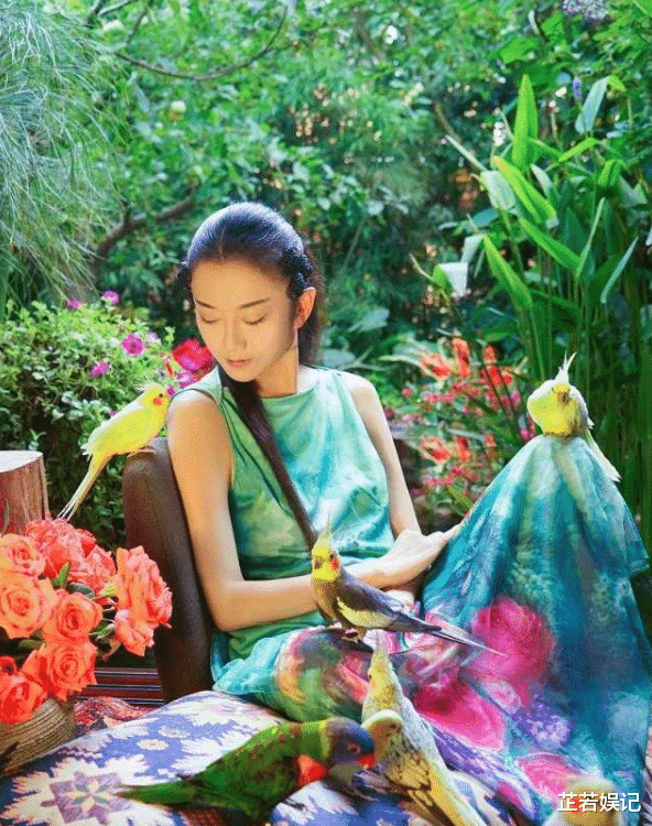 杨丽萍|杨丽萍3000万“月亮宫”被查封，表面光鲜亮丽，里面肮脏无比