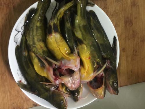 「鱼汤」不管炖什么鱼，都不要放这“两种调料”，否则鱼很腥很难吃！