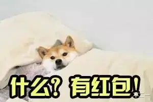 微信|奇奇怪怪的微信隐藏玩法（含撩妹教程）关闭朋友圈广告