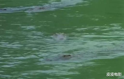 央视:就在2天前,央视再次重播这部硬汉片,它的意义不仅是振奋人心