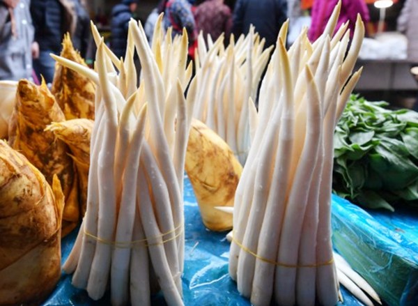 芦笋|它是“世界十大名菜”之一,在国外很受追捧,可惜一见光就不值钱