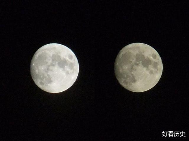 猫头鹰：古人告诉你，这些不祥之兆，代表着死亡临近