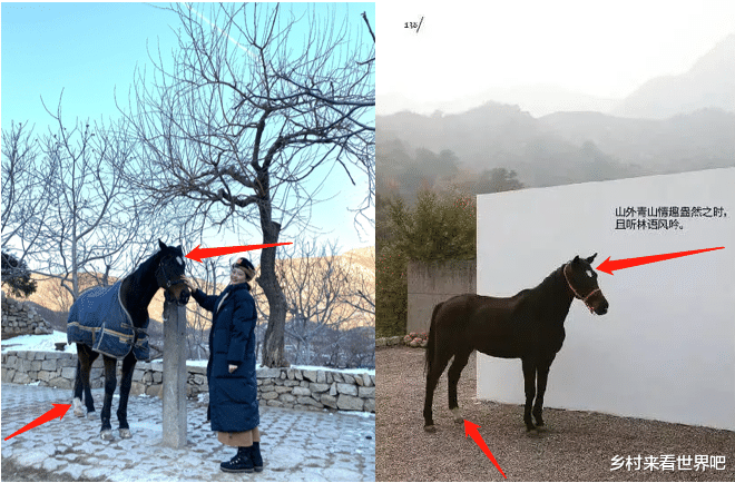 爱马仕|晚晚硬凹富婆人设又遭打脸了？背共享爱马仕，就连晒的豪宅也是…