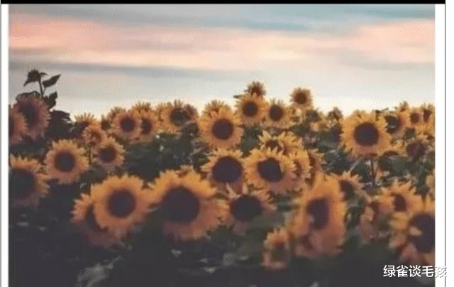 别让你的妻子，连在家都受委屈