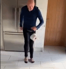 『欧洲』欧洲新冠疫情下，默默无名的足球路人，却成为主流媒体救命稻草