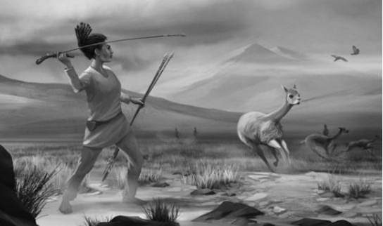 考古学家|远古女性或是家庭主力！考古发现，女猎人曾纵横原始社会