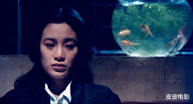 电影|香港“奇案”被拍成B级片,我不奇怪,但女主是赵雅芝,我没想到