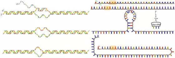 『基因突变』钟南山院士称新冠病毒基因已突变，大家不用慌，其实不可怕