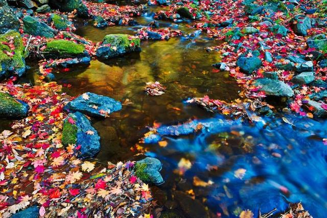 旅行|旅行中最美的15个瞬间，你经历过几个？