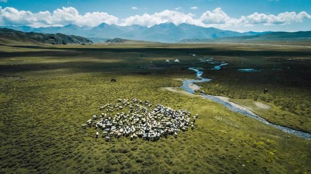 理塘|7月专属的最佳旅行地，过一个25℃的夏天（下）