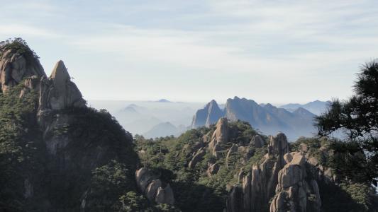 [运势]6月上旬财神上门来，财运最旺，金银堆成山，横财说发就发的生肖